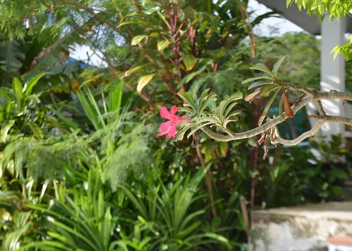 Baan Suan Villa 1