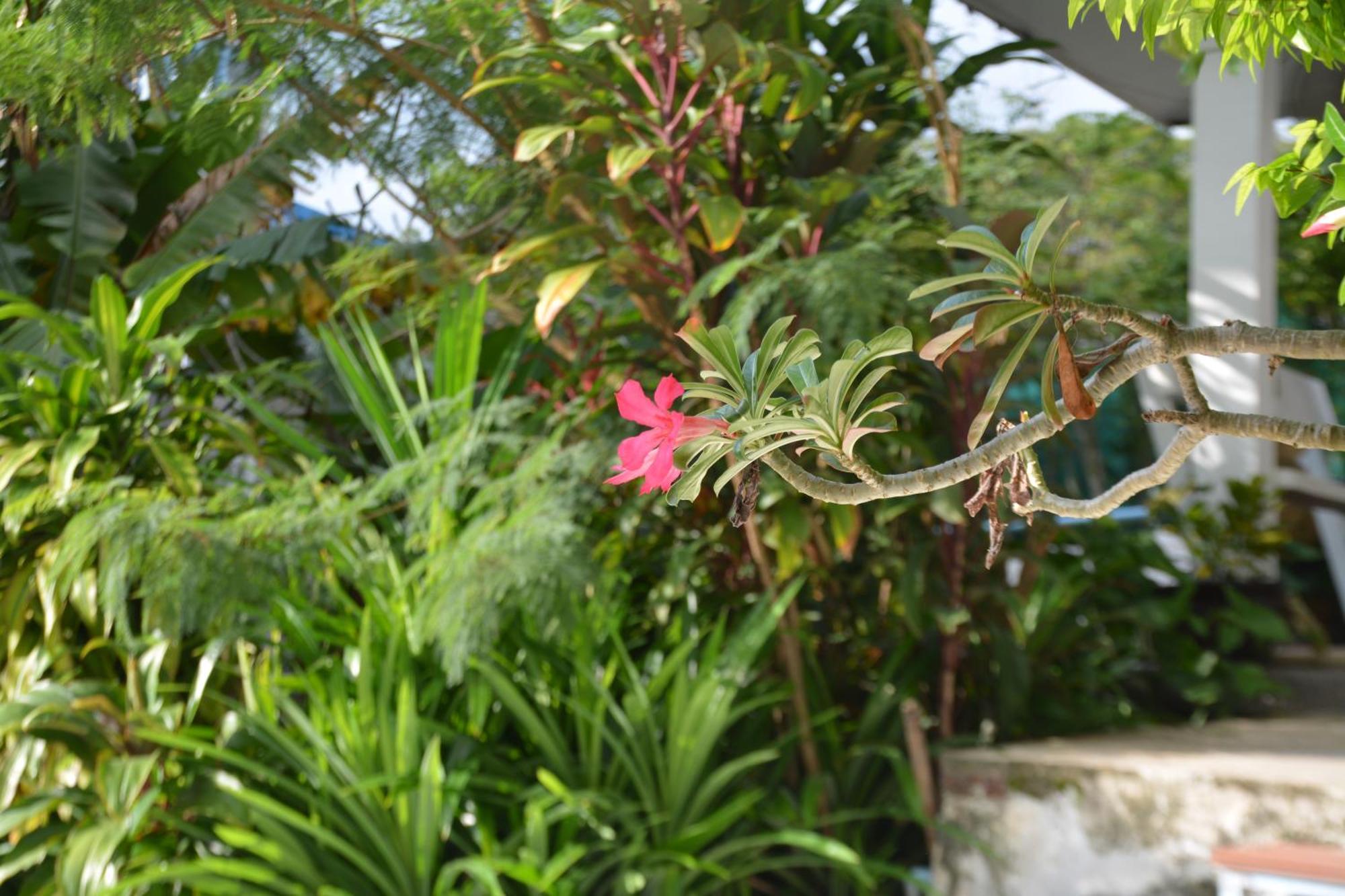 Baan Suan 1 Patong