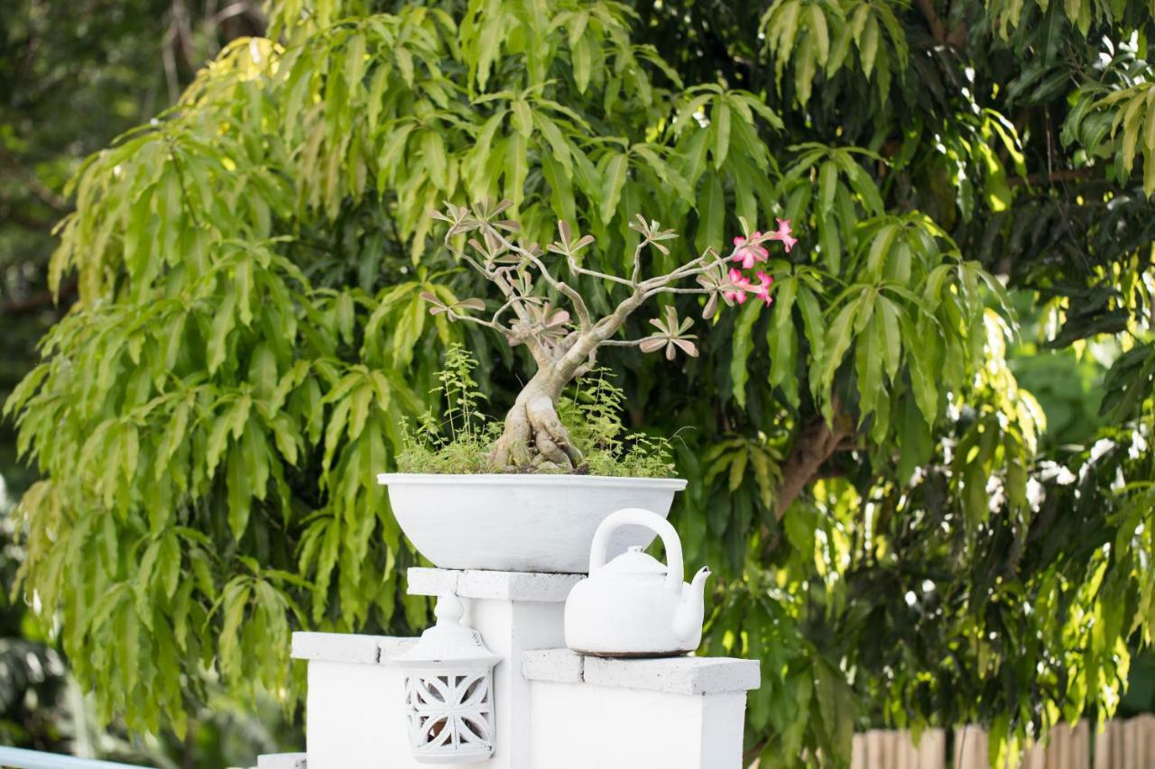 Baan Suan 1